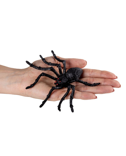 Schwarze Riesen Tarantel 2 St. 14cm