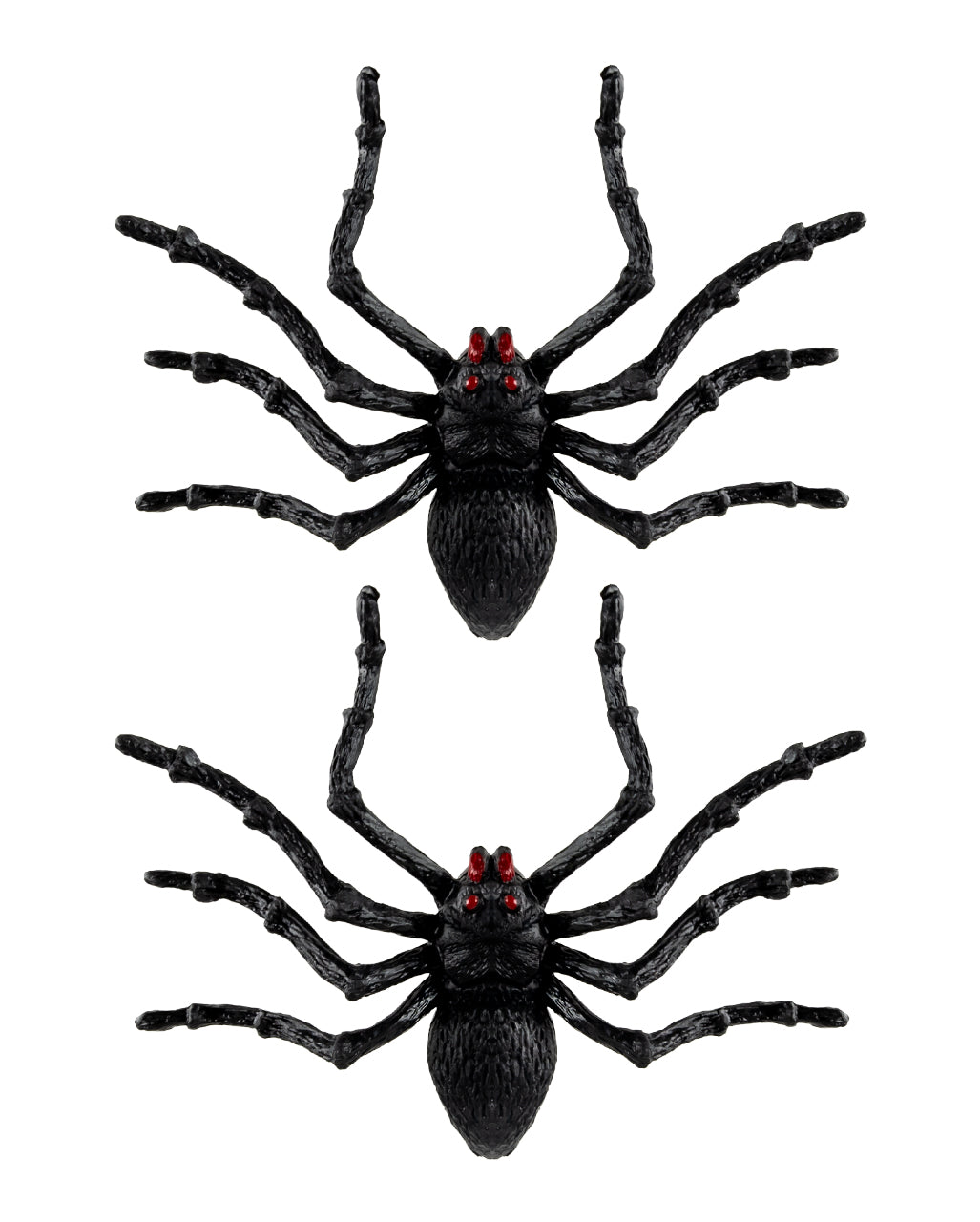 Schwarze Riesen Tarantel 2 St. 14cm