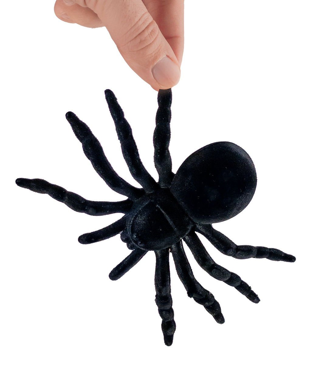 Schwarze Riesenspinne 16cm