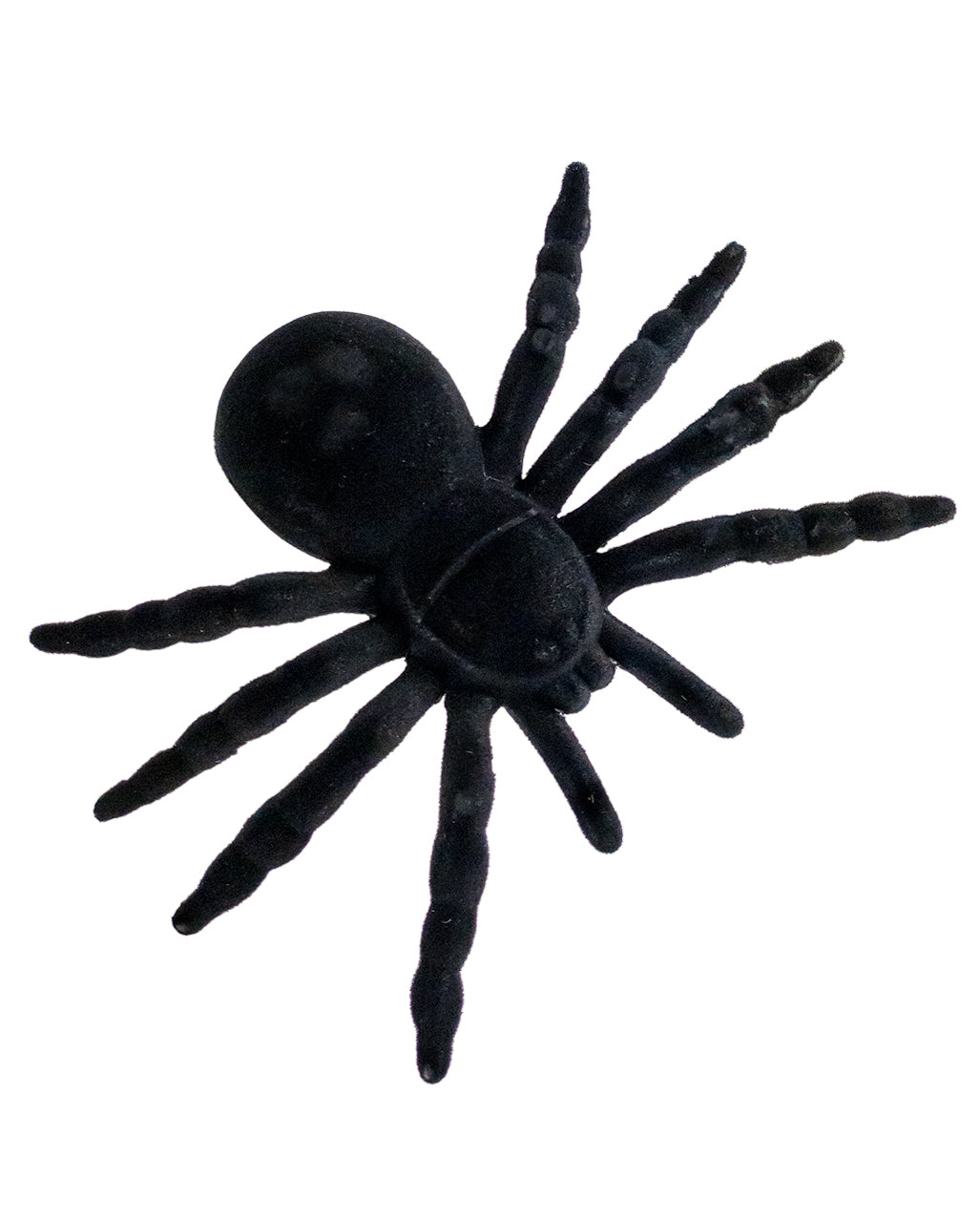 Schwarze Riesenspinne 16cm