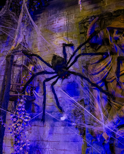 Schwarze Riesenspinne 90cm