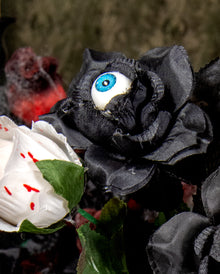 Schwarze Rose mit blauem Auge