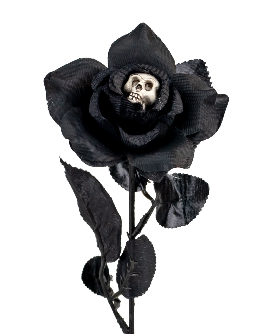 Black Rose With Skull In The Blossom 42cm