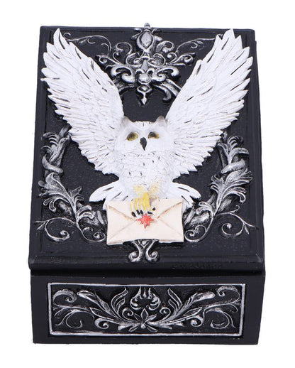 Schwarze Schatulle mit geheimnisvoller Eule 18cm