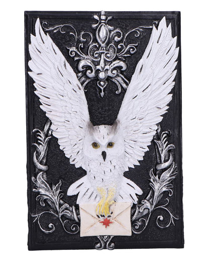 Schwarze Schatulle mit geheimnisvoller Eule 18cm