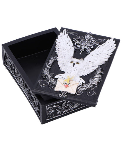 Schwarze Schatulle mit geheimnisvoller Eule 18cm