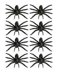 Schwarze Spinnen 8 St.