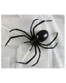 Große Schwarze Witwe