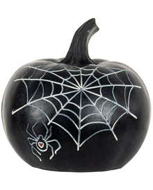 Schwarzer Pumpkin mit Herzförmigen Spinnennetz 10cm