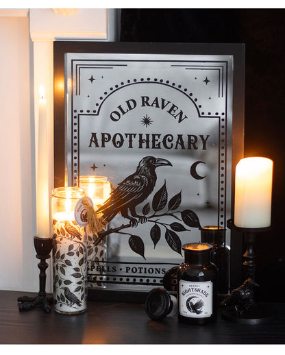 Black Raven Claw Candlestick 12.5cm
