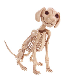 Sitzendes Hunde Skelett 30 cm