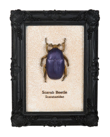Scarabee Kever In Zwart Gotisch Frame 20cm
