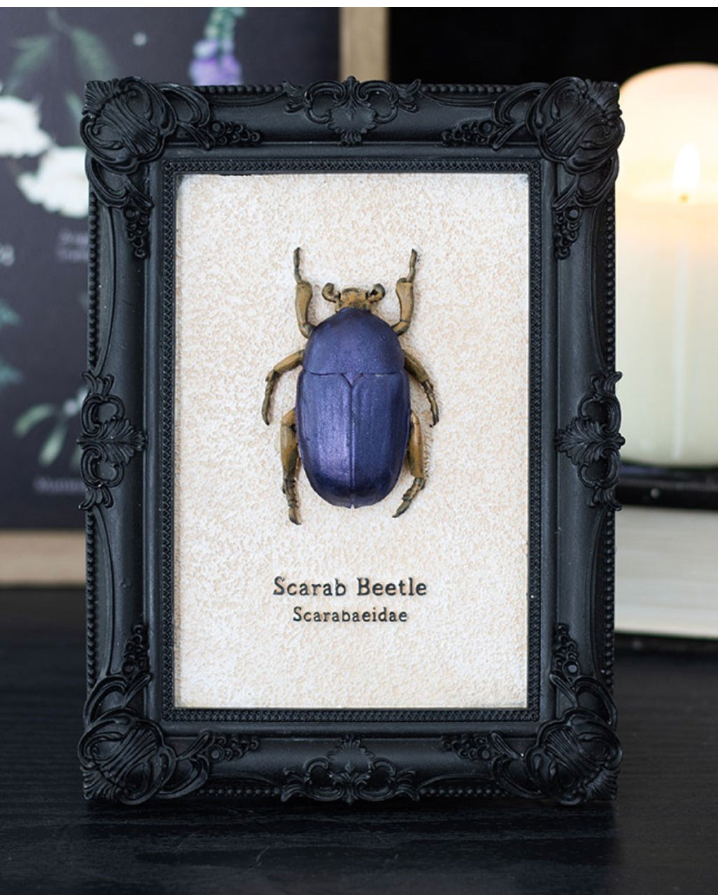 Scarabee Kever In Zwart Gotisch Frame 20cm