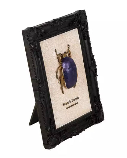 Scarabee Kever In Zwart Gotisch Frame 20cm