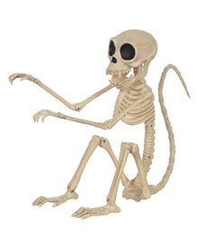 Skelett Affe 24cm