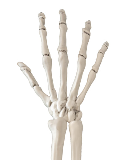 2 Pcs Skeleton Arms As Garden Plug 44cm