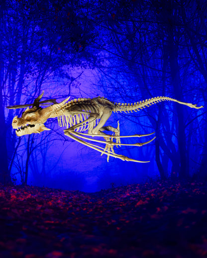 Skelett Drache mit positionierbaren Flügeln 90cm