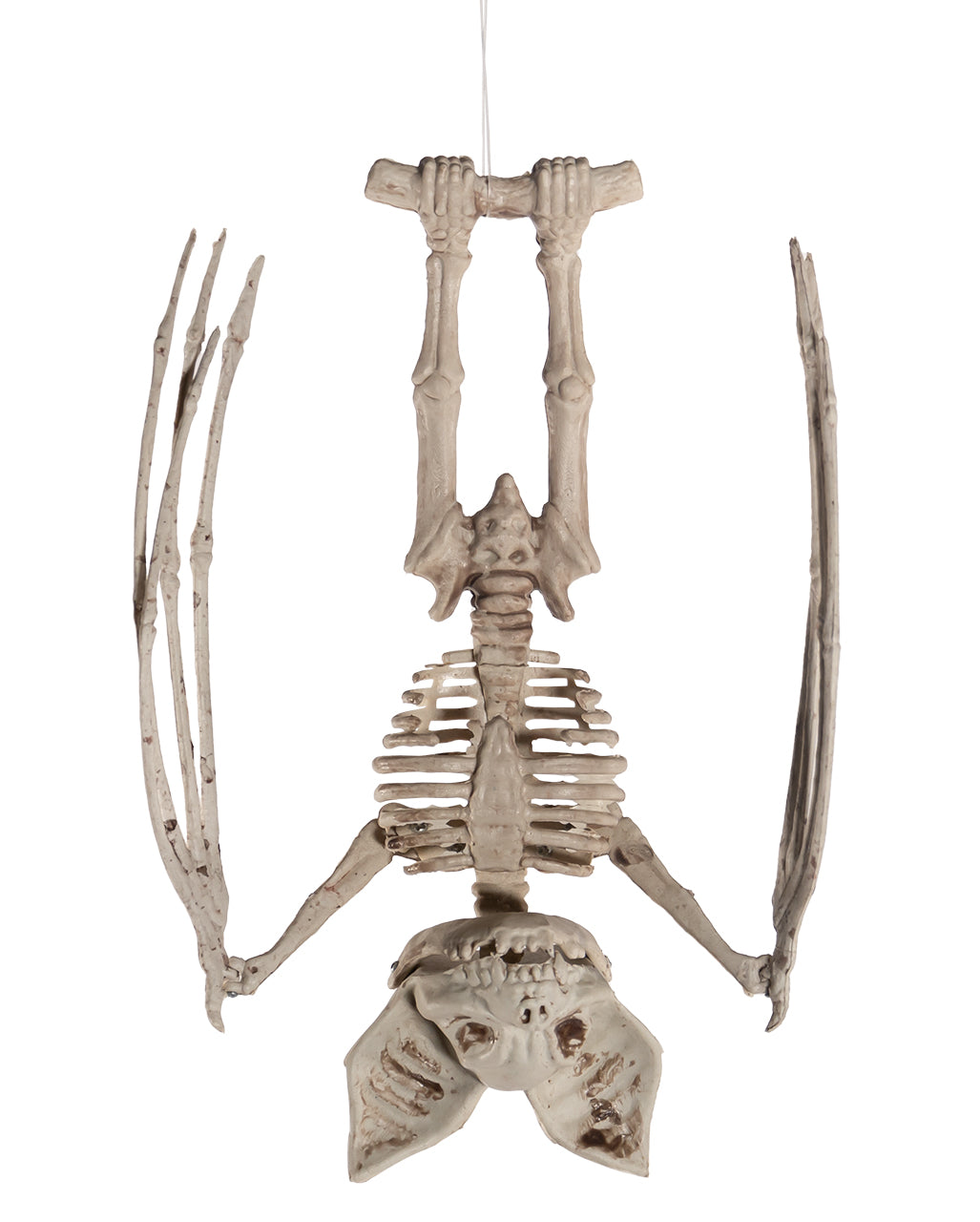 Skeleton Bat With Movable Wings 27cm