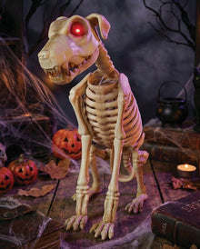 Skelett Hund mit Bewegung, Licht & Sound 30cm