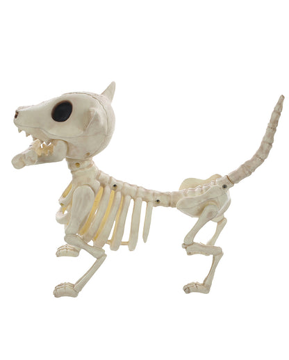 Hunde Skelett mit Knochen 27cm