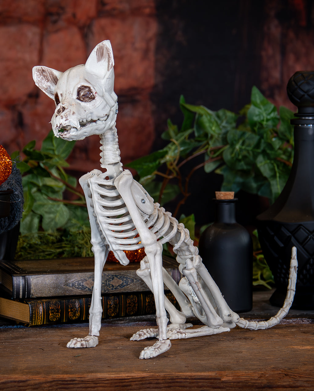 Skelett Katze als Halloween Deko 48cm