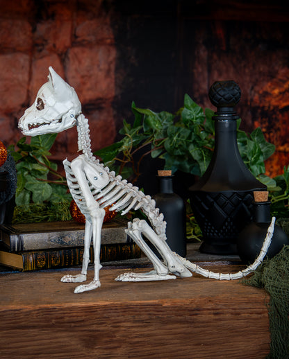 Skelett Katze als Halloween Deko 48cm