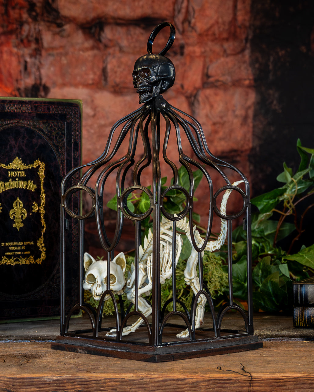 Skeleton Cat In Cage 33cm