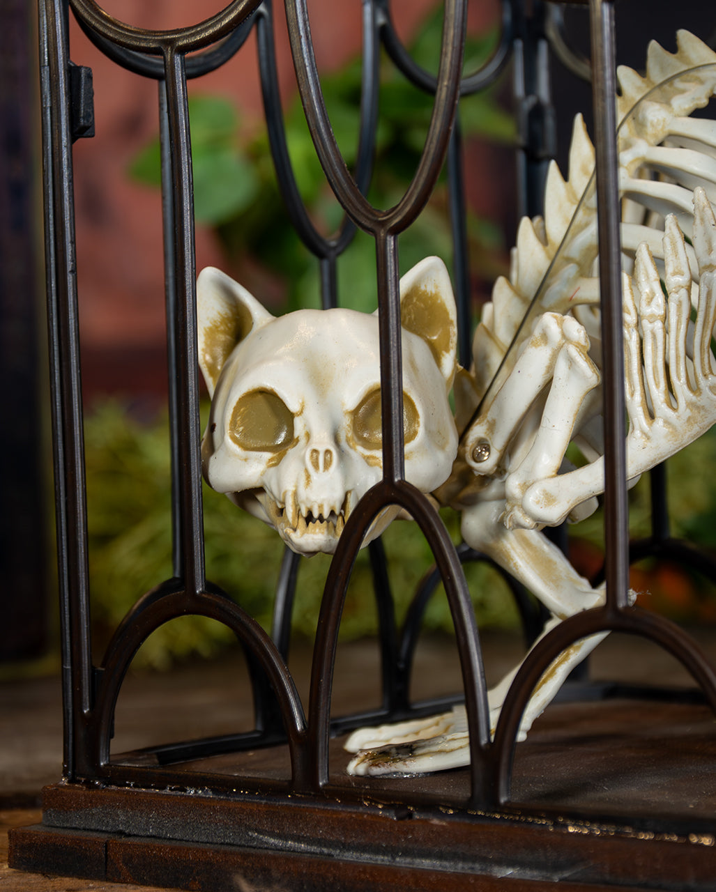 Skeleton Cat In Cage 33cm
