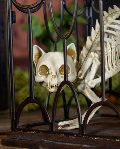 Skeleton Cat In Cage 33cm
