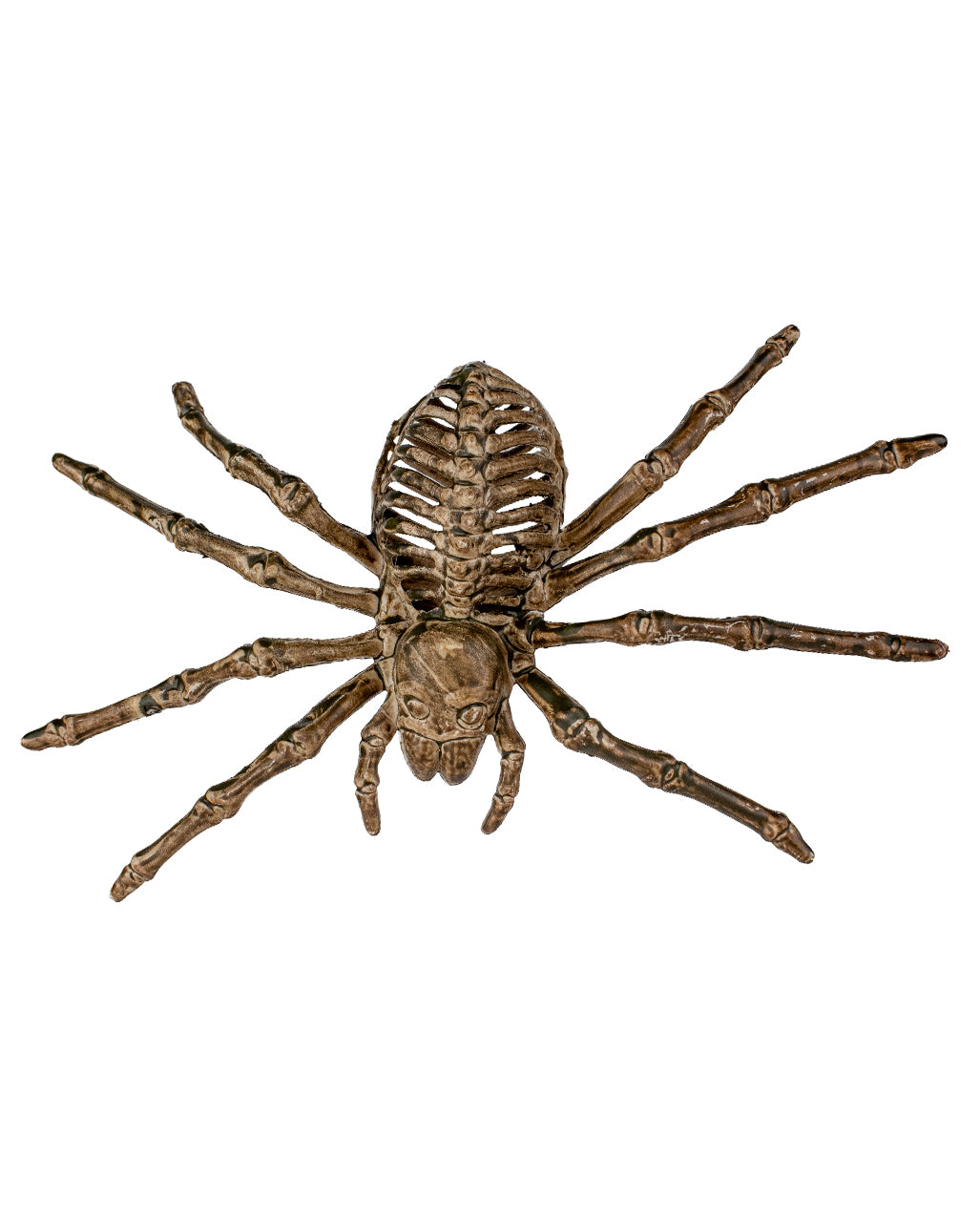 Skelett Spinne 24cm