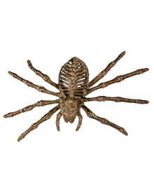 Skelett Spinne 24cm