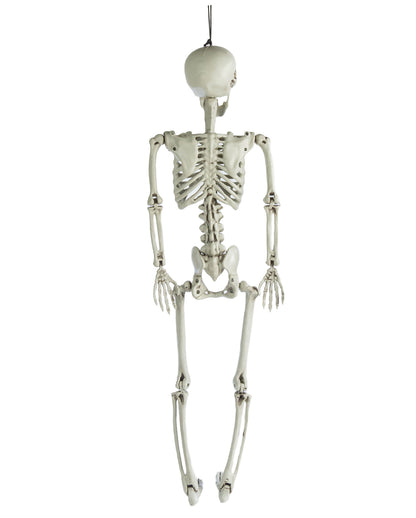 Positionierbares Skelett 90cm