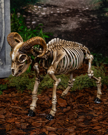 Skelett Ziegenbock als Halloween Deko 67cm