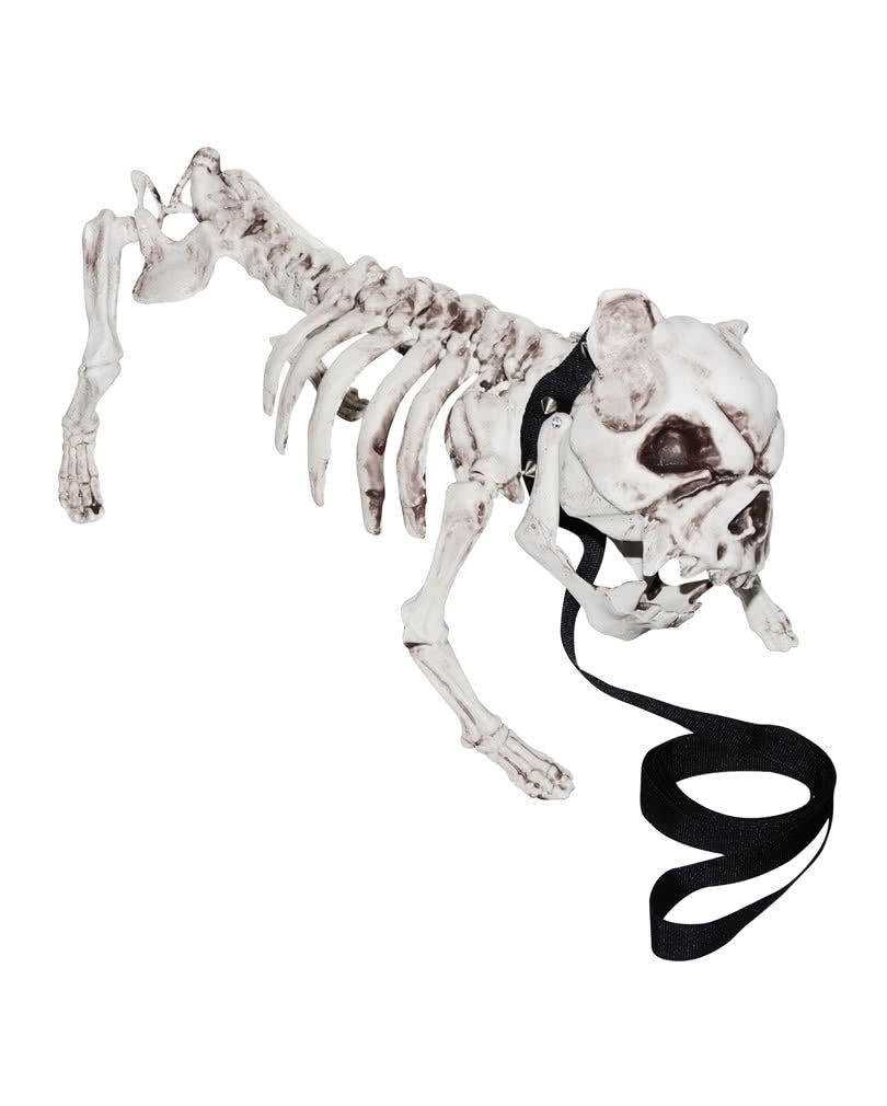 Skeleton Dog