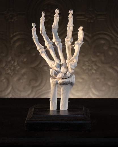 Skeletthand Schmuckhalter