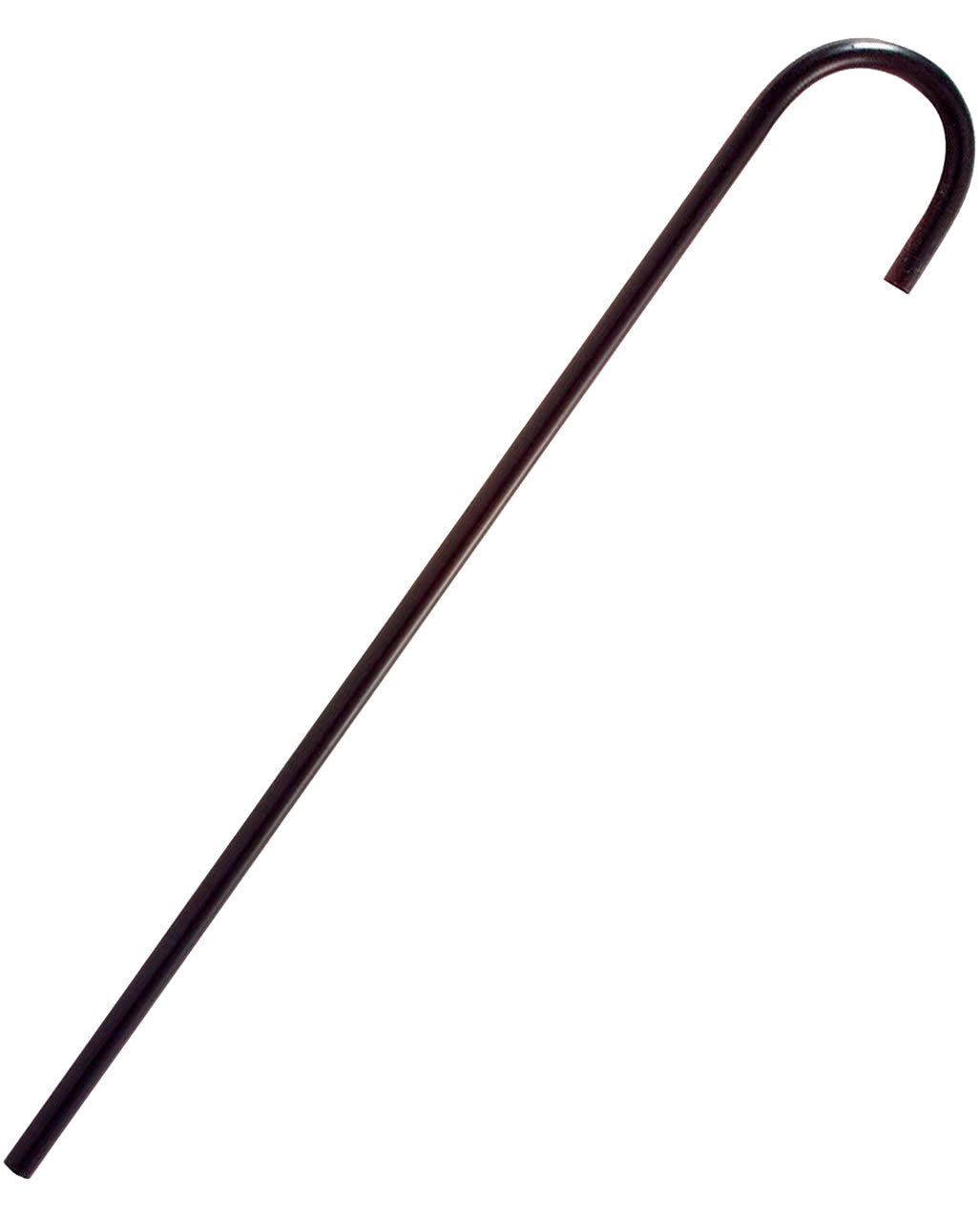Charlie Walking Stick