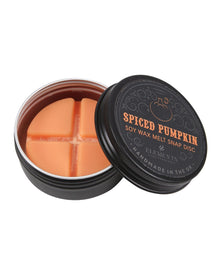 Spiced Pumpkin Soja Duftwachs Snap Disc