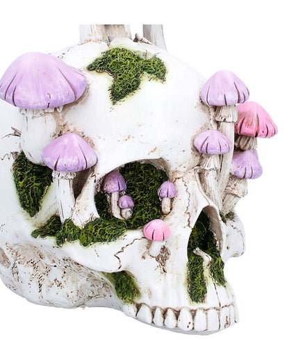 Sporebound Magic Mushroom Totenkopf 29,5cm