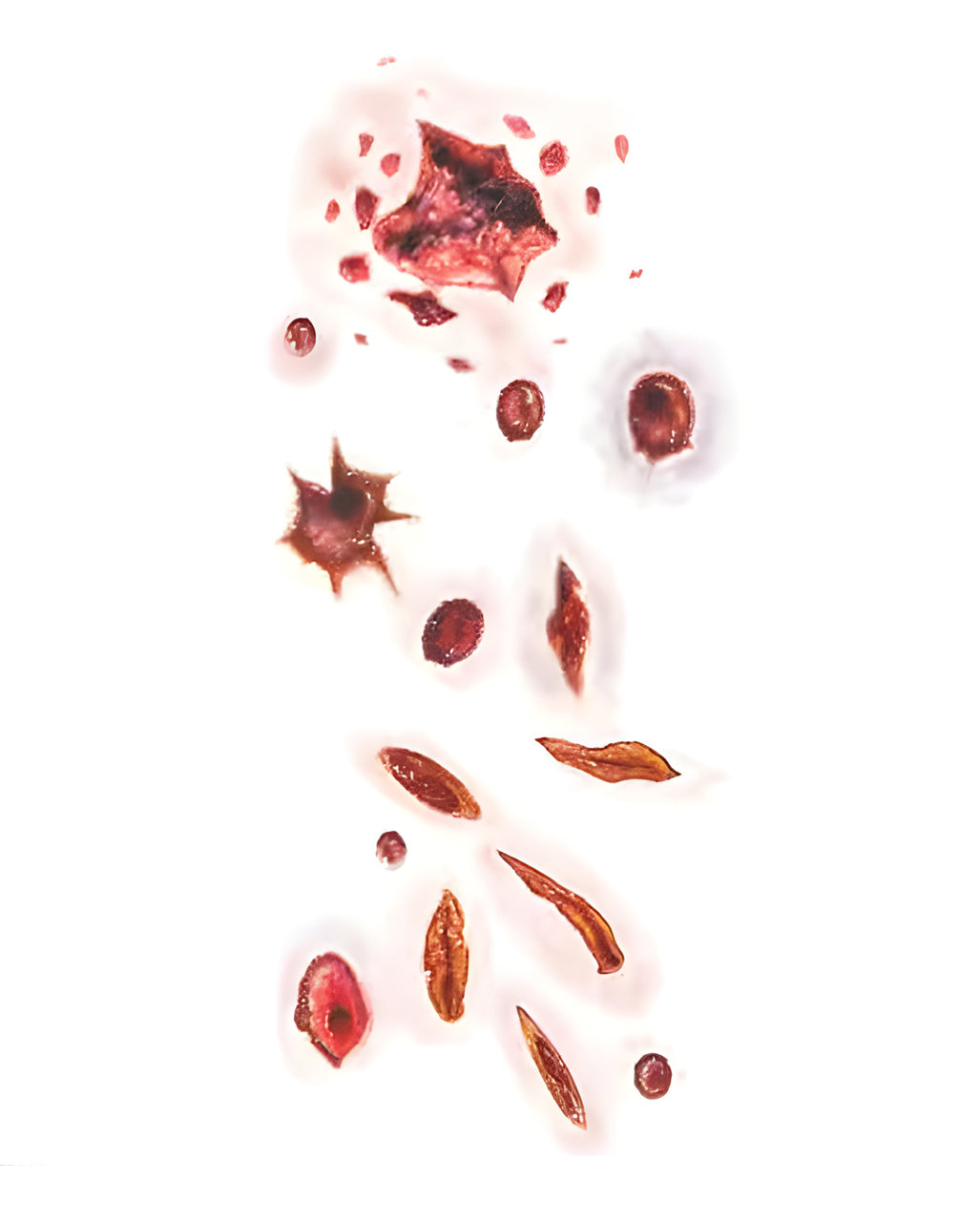 Erschossen & Erstochen Aufklebetattoo