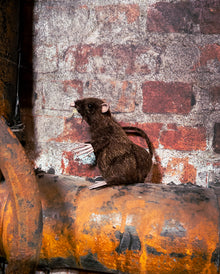Stehende Ratte mit Kunstfell 11cm