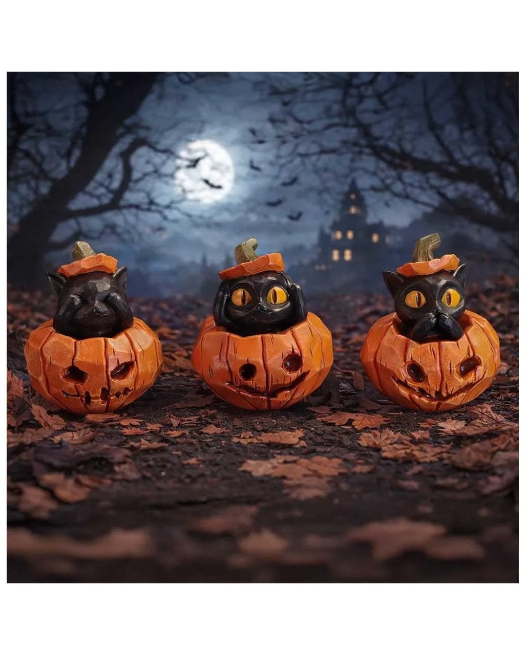 Three Wise Pumpkin Patch