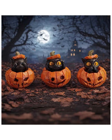 Three Wise Pumpkin Patch