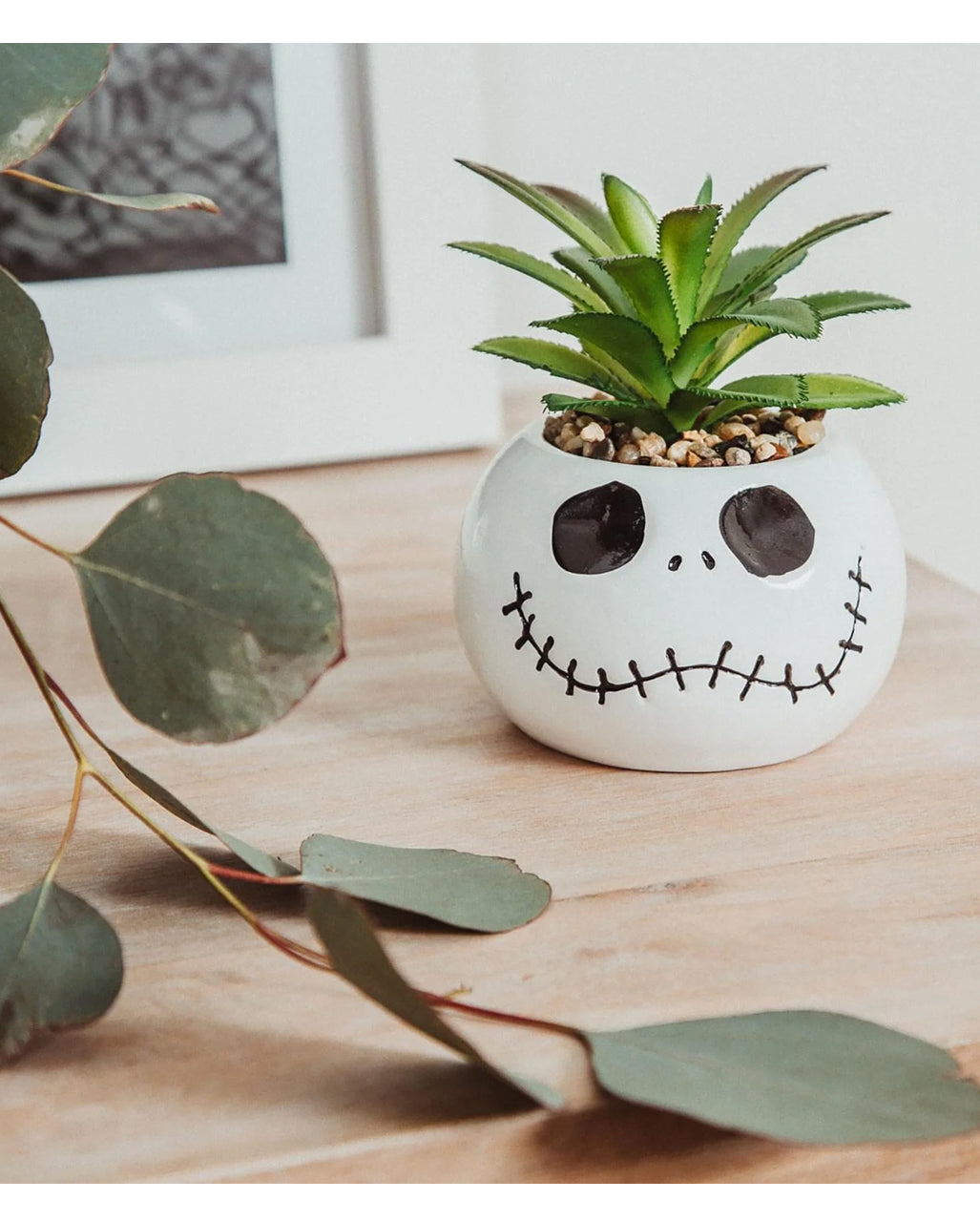 TNBC Jack Skellington Topf mit Sukkulente