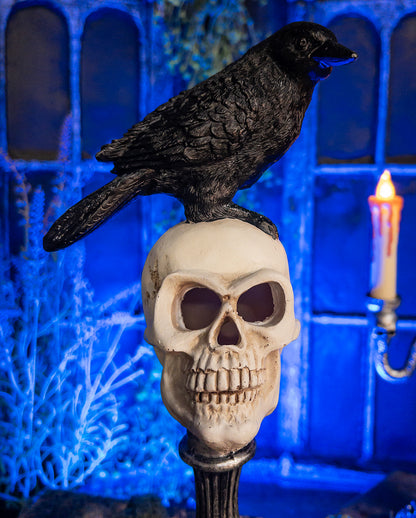 Buste Tête De Mort Avec Corbeau & éclairage LED 31cm