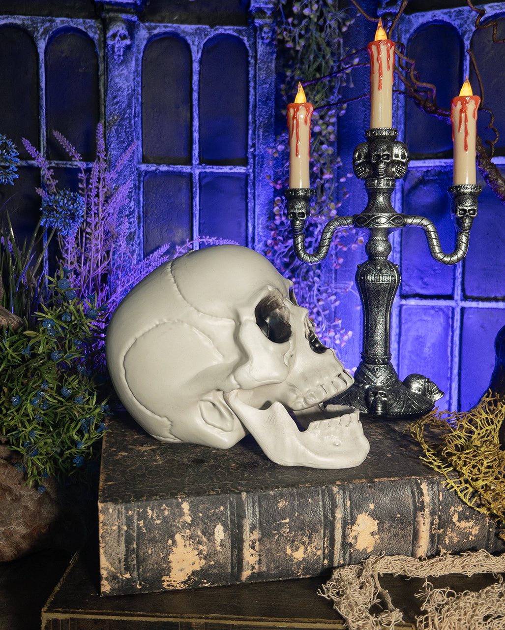 Totenkopf mit beweglichem Unterkiefer
