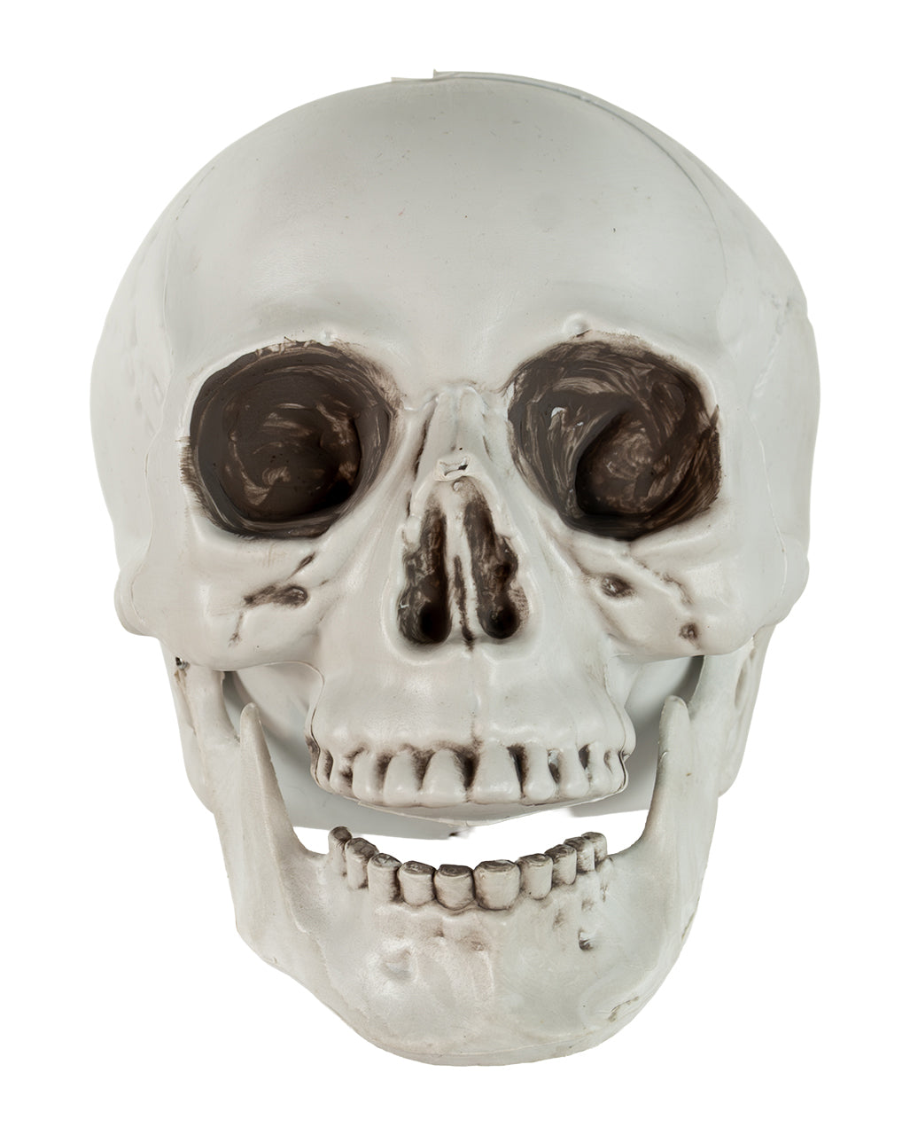Totenkopf mit beweglichem Unterkiefer