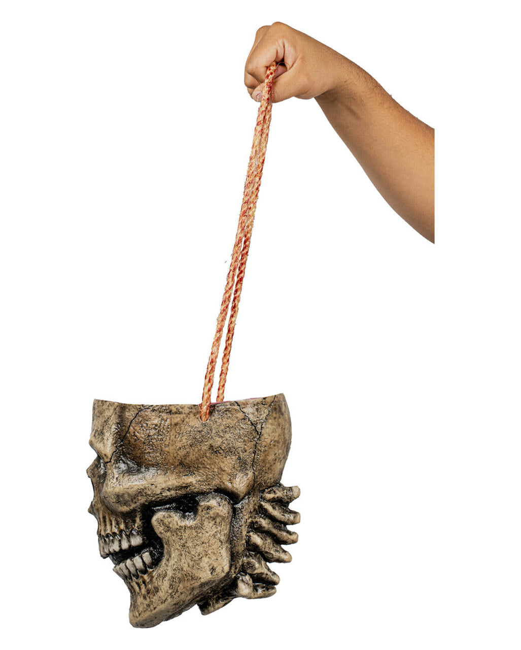 Totenschädel ohne Schädeldecke als Tasche