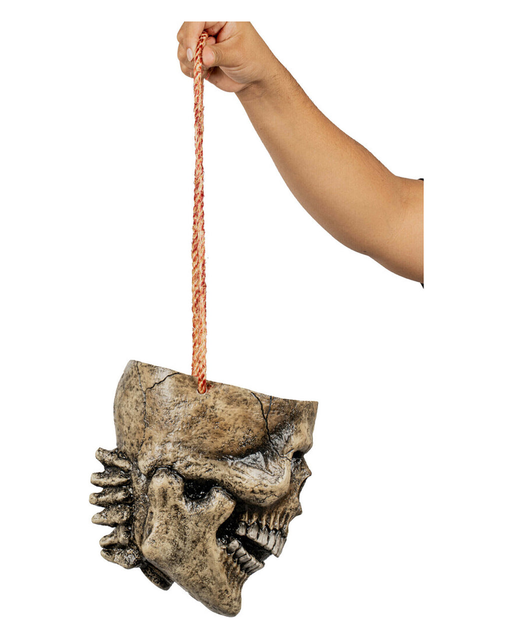 Totenschädel ohne Schädeldecke als Tasche