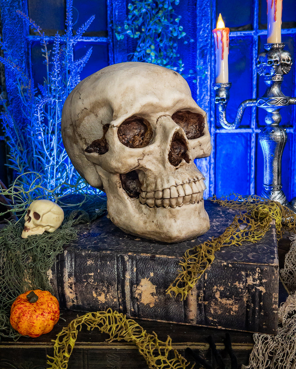 Skull Money Box 19cm