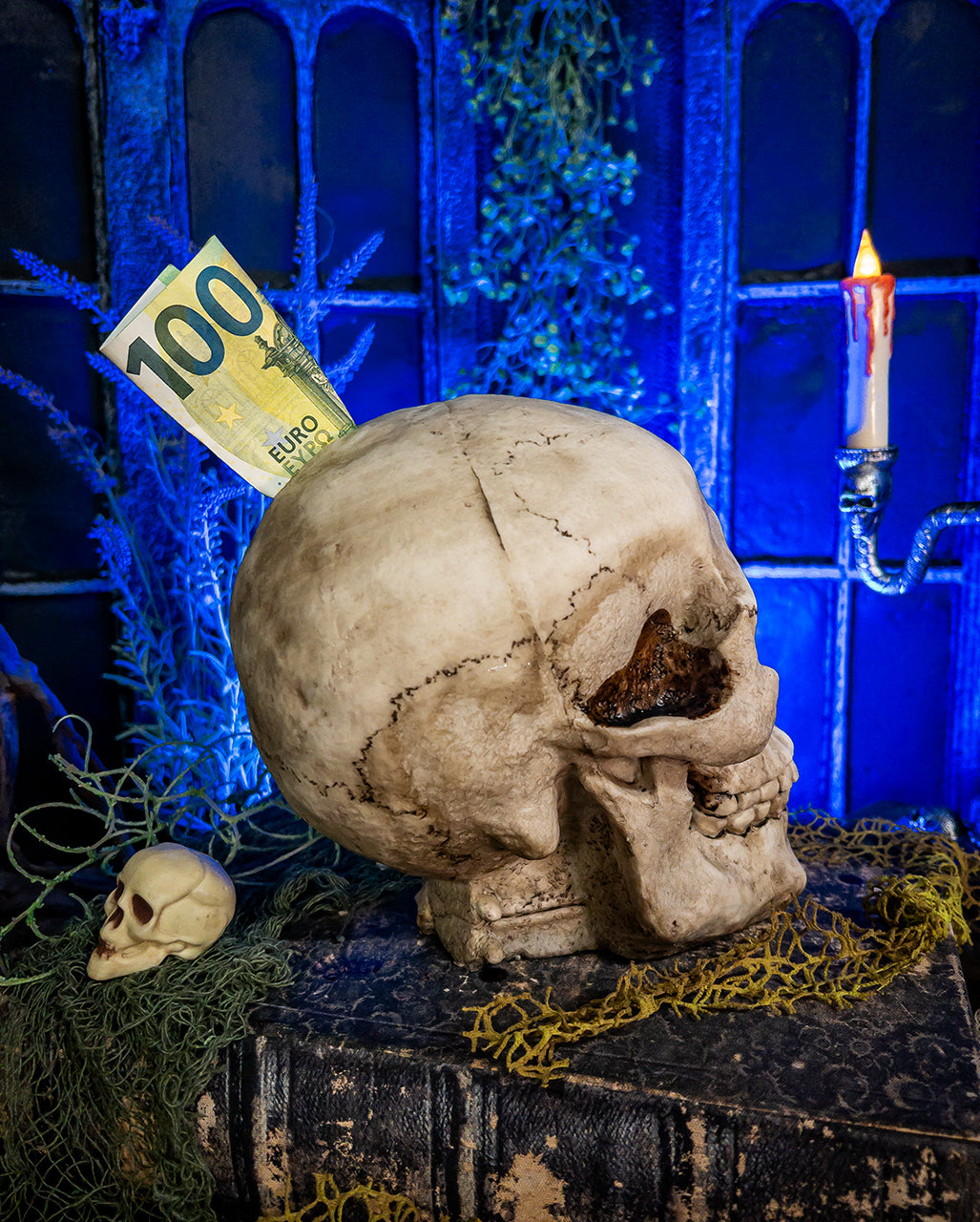 Skull Money Box 19cm